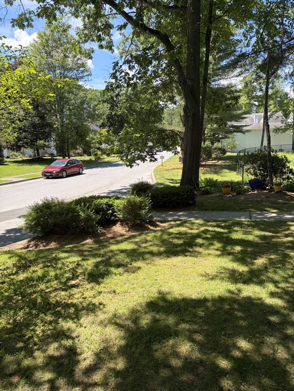 Mowed and edged common-area lawn at a South Burlington VT community
