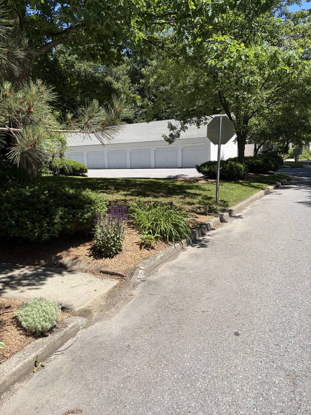 Maintained landscaping at a commercial property in Chittenden County, Vermont