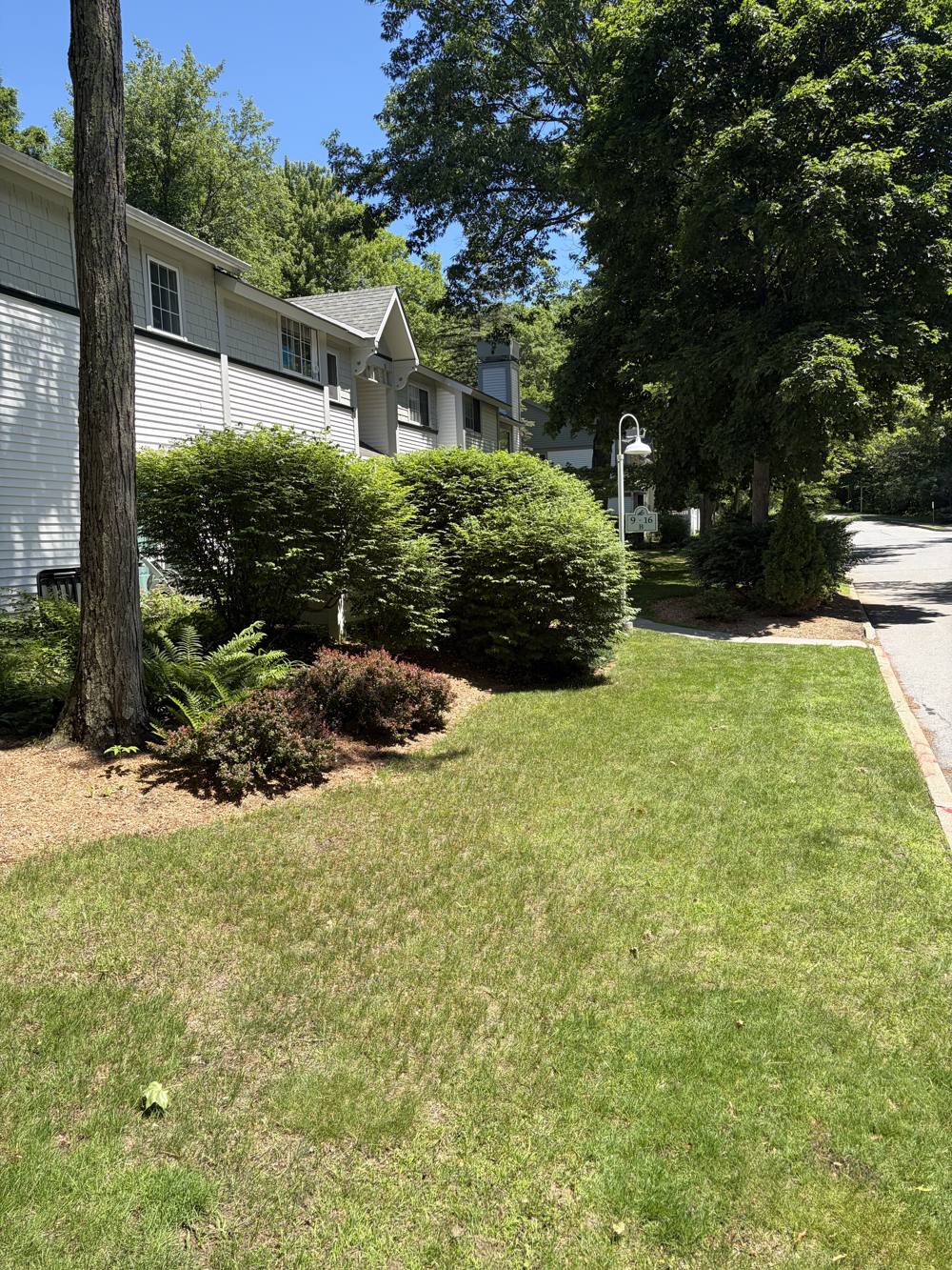 Maintained shrubs and grounds along a condominium row in Vermont