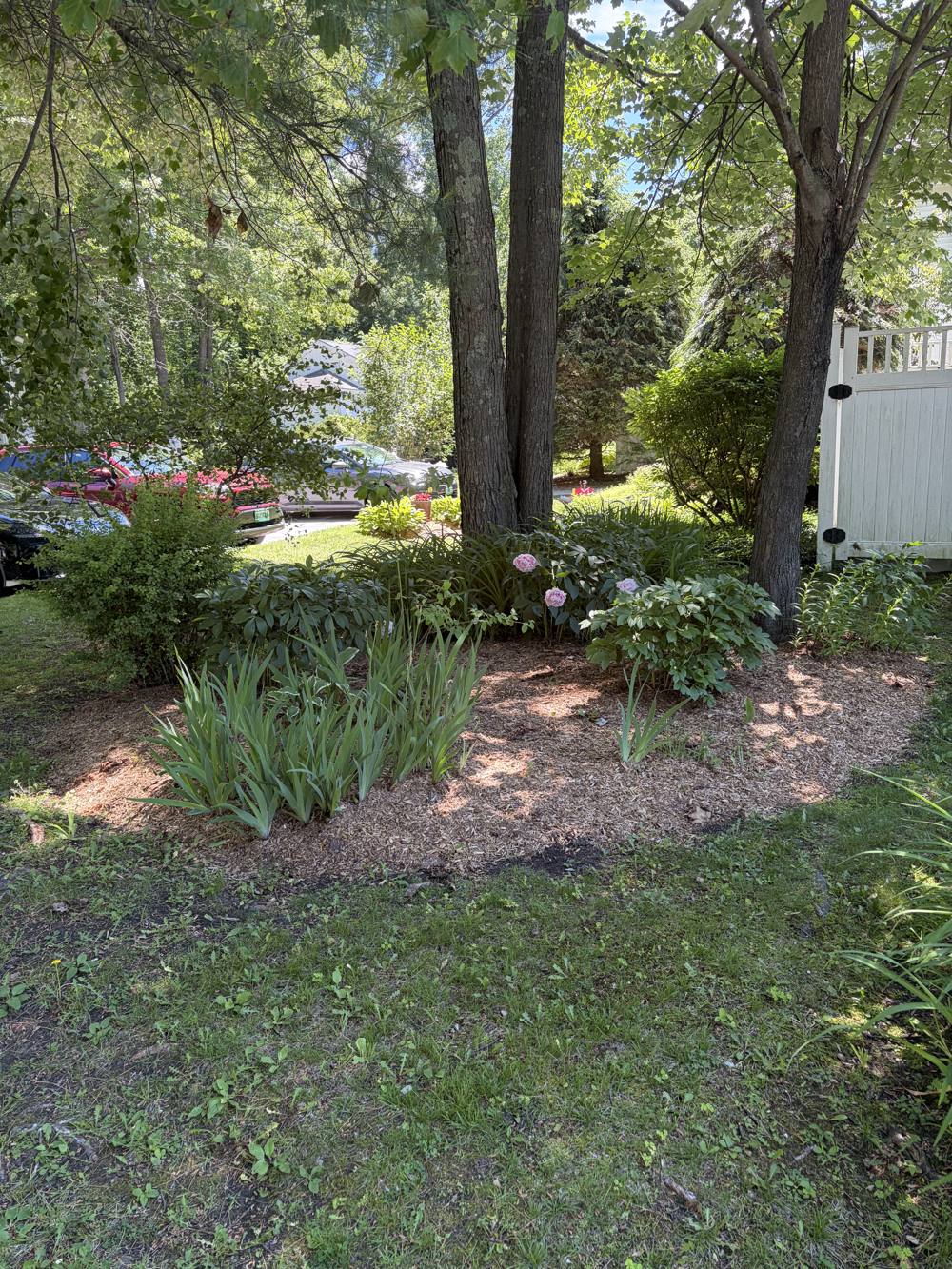 Fresh mulch and maintained planting beds at a Vermont HOA property